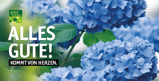 GE Kreimers LS251173 Online-Gutscheine 20254