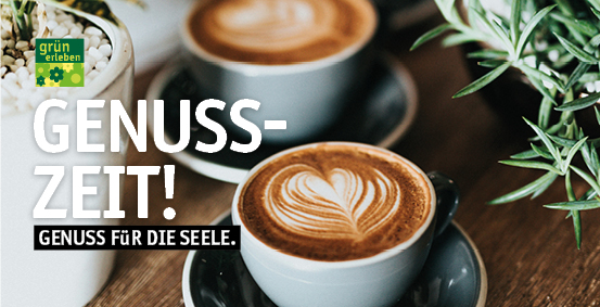 GE Kreimers LS251173 Online-Gutscheine 20255