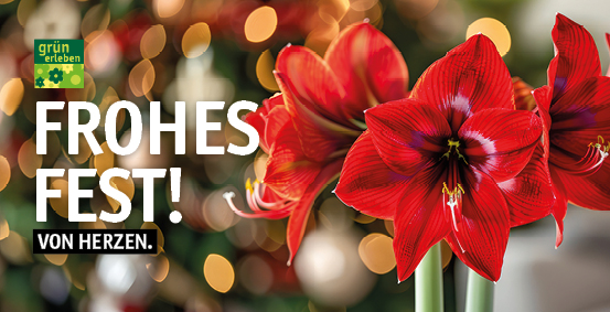 GE Kreimers LS251173 Online-Gutscheine 20257