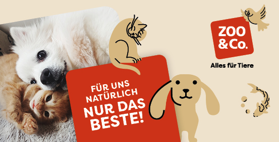 GE Kreimers LS251173 Online-Gutscheine 20258