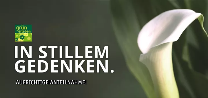 Gutschein Anteilnahme