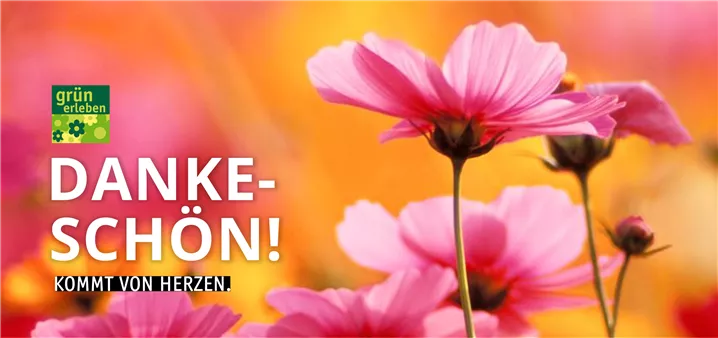 Gutschein Dankeschön