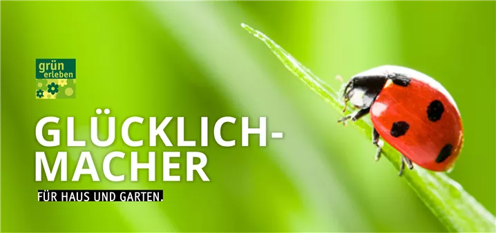 Gutschein Glücklichmacher