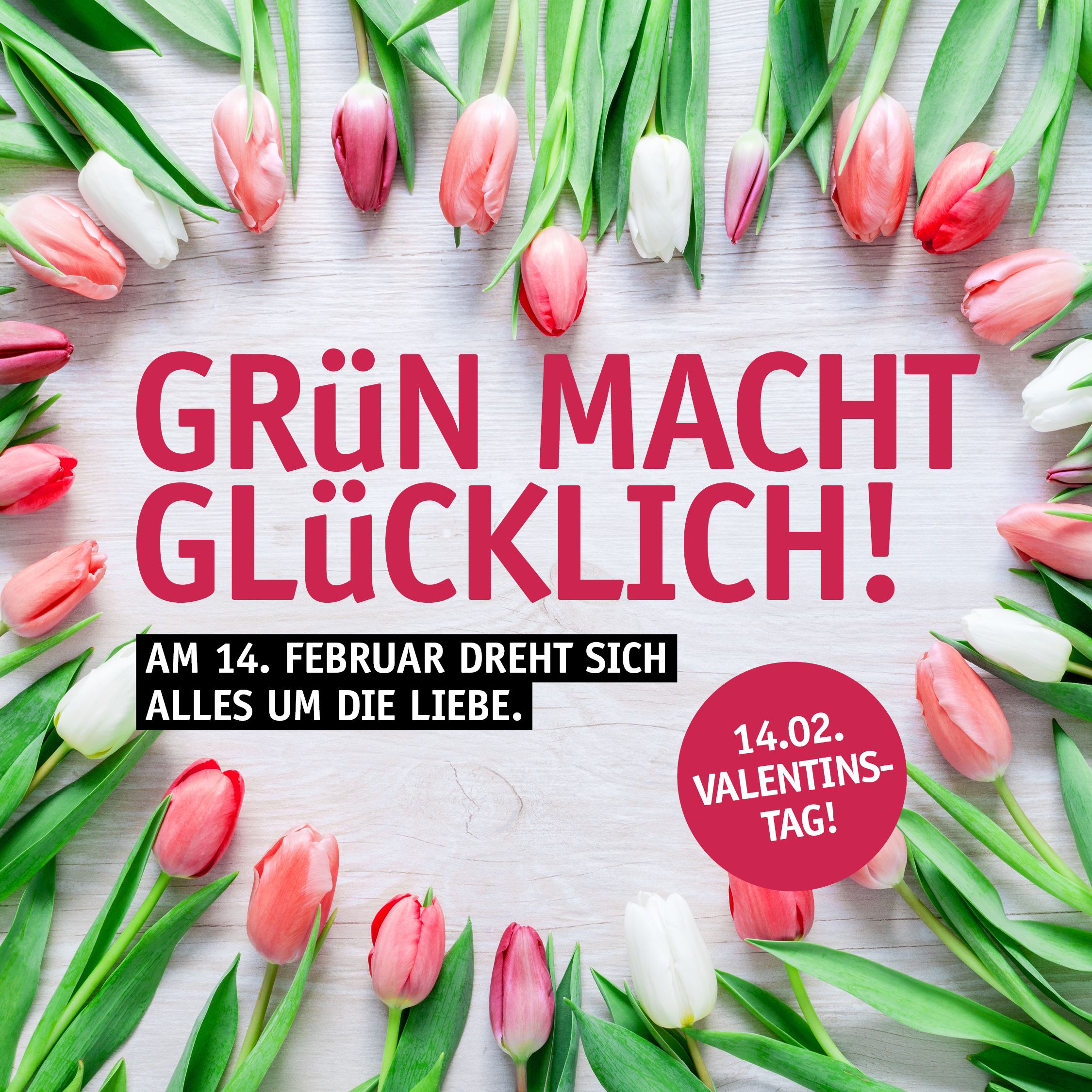 Valentinstag (2)
